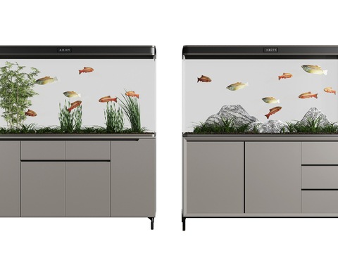 Modern fish tank aquarium