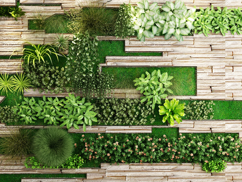 Modern Green Plant Wall