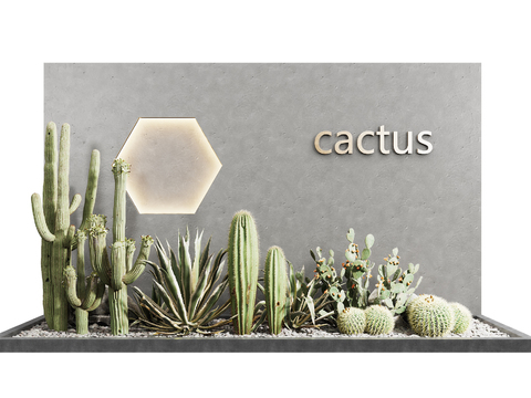 Modern cactus gardening sketch