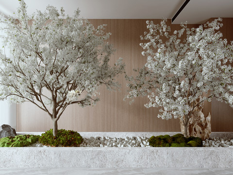 Indoor landscaping pear tree moss heap