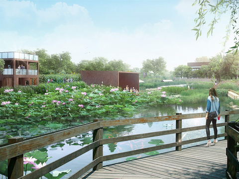 modern wetland bridge landscape psd