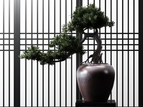 New Chinese Pine Pot