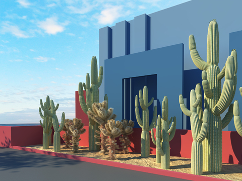 Modern Cactus Sand Plant