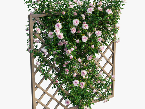 Modern outdoor rose fence plant wall