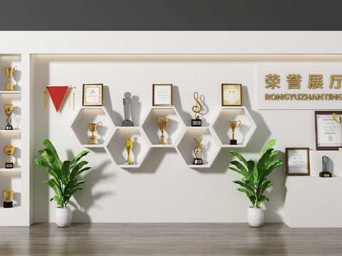 Modern Trophy Medal Certificate Hall Honor Wall