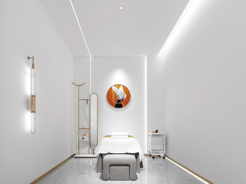 Modern Beauty Treatment Room Free