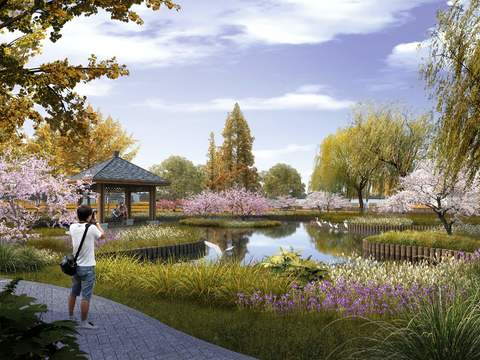 Modern Wetland Park Landscape psd