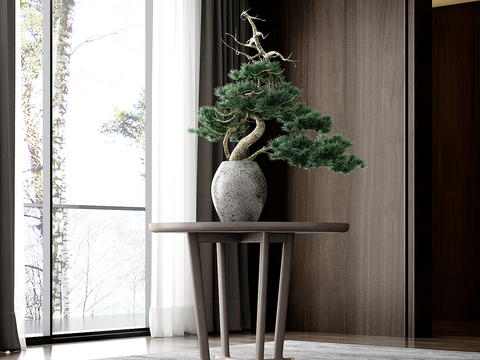 Pine and cypress bonsai flowers