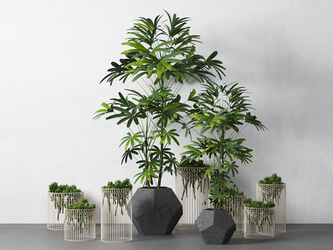 Modern potted plant combination