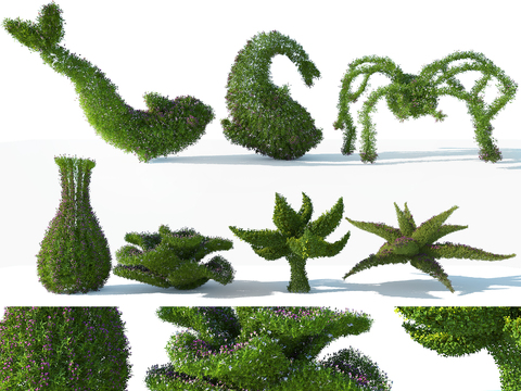 Grass carved shrub Plants