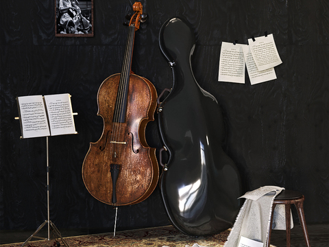 Modern Cello Instrument