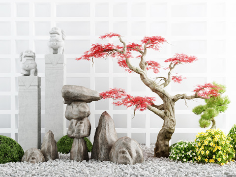 New Chinese Red Maple Rock Gardening Sits