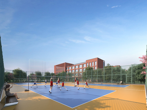 Modern volleyball court