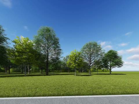 modern big tree landscape tree lawn psd