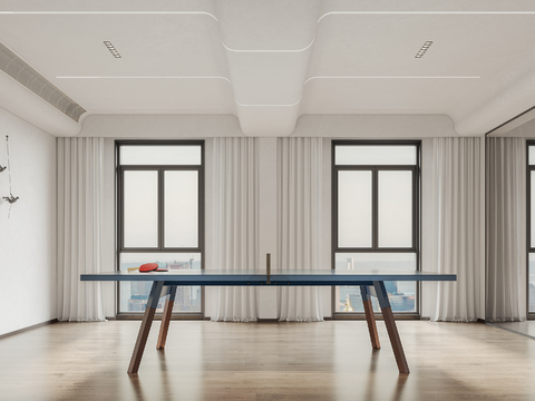 Modern table tennis room