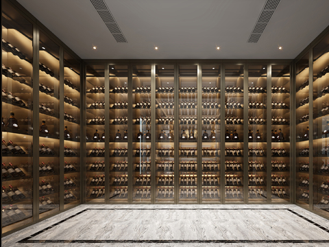 Modern Wine Cellar Wine Room