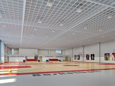 Basketball Court Gymnasium