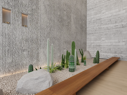 Courtyard sketch cactus landscape