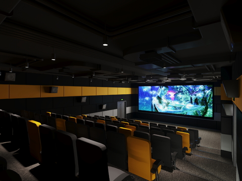 Cinema screening hall