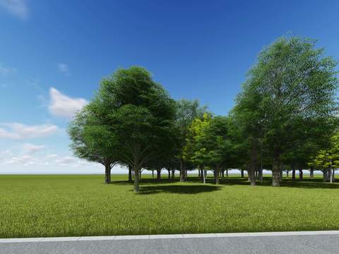 modern big tree landscape tree lawn psd