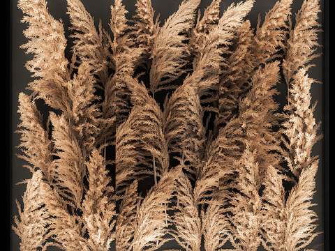 Modern Reed Flower Dried Flower Wall Decoration