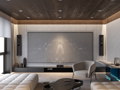 Modern Home Audiovisual Room