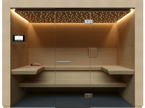 Modern Dry Steamed Sauna Room