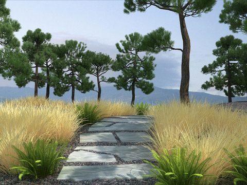 Modern pine forest mountain forest landscape