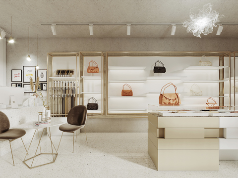 Modern Ladies Bag Store