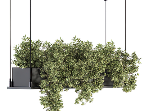 Modern Green Plant Hanging Basket