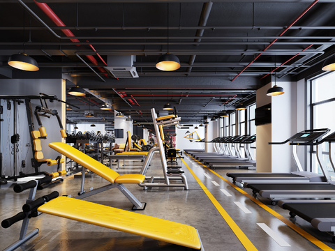 Industrial Gym