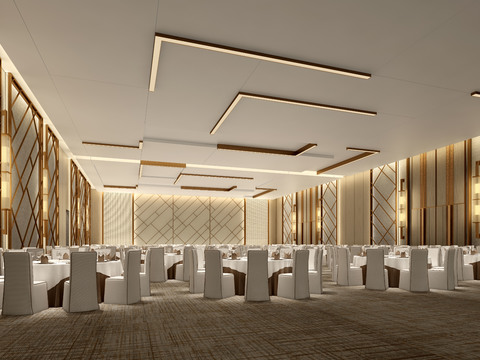 Modern Affordable Luxury Style Hotel Ballroom