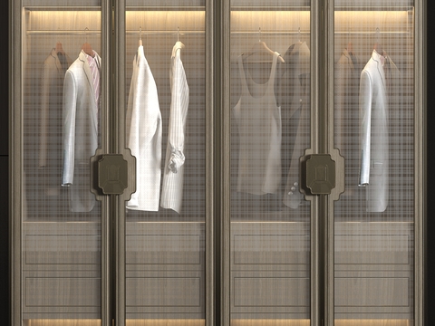 Modern Solid Wood Cloakroom Glass Wardrobe