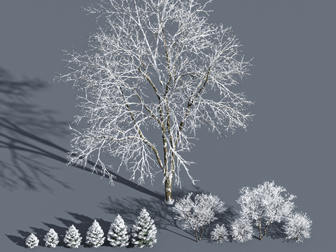 Modern Winter Snow Trees