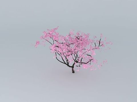 Modern Peach Blossom Tree Free