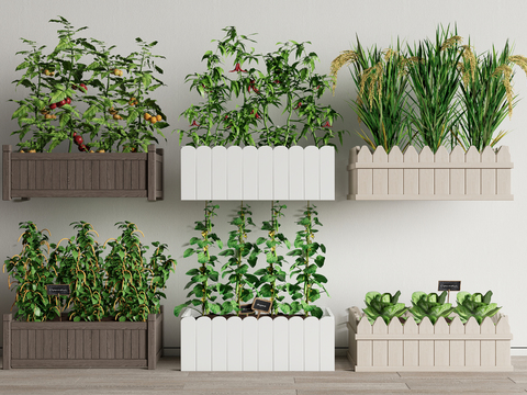 Crop vegetable box flower box