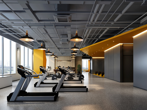 Modern senior gray gym