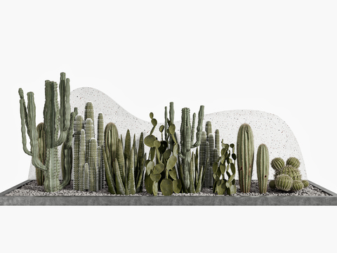 Modern cactus landscape sketch