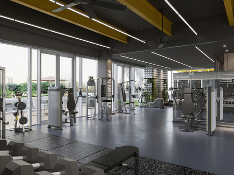 Modern Gym