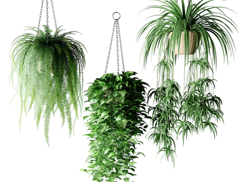 Modern hanging basket potted plant