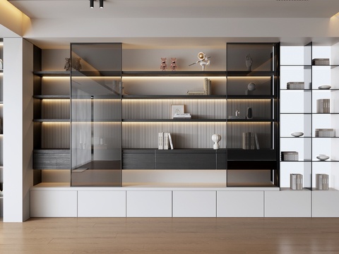 Modern Bookcase Showcase