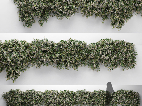 Modern Green Plant Climbing Vine