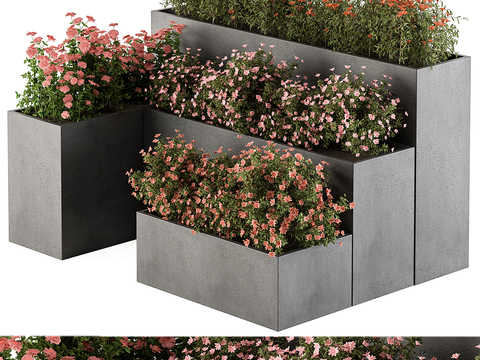 flower bed flower box potted plant