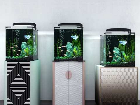 Modern aquarium aquarium combination