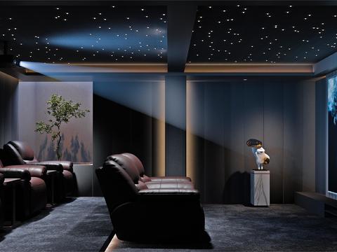 Home Theater Video Room