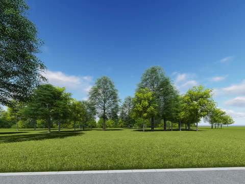 modern lawn big tree trees landscape tree psd