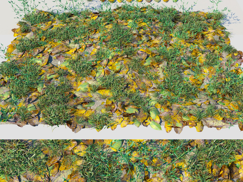 modern grassland leaf litter