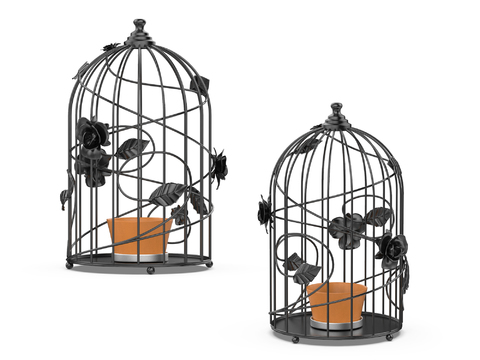 French Birdcage