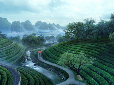 Modern Mountain Tea Garden Landscape PSD