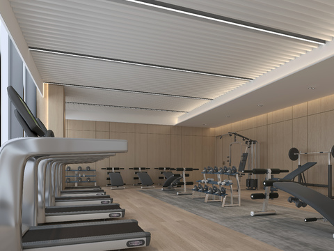 Modern gym free